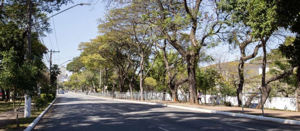 Incorporadoras Apostam no Potencial de Crescimento da Zona Norte de São Paulo