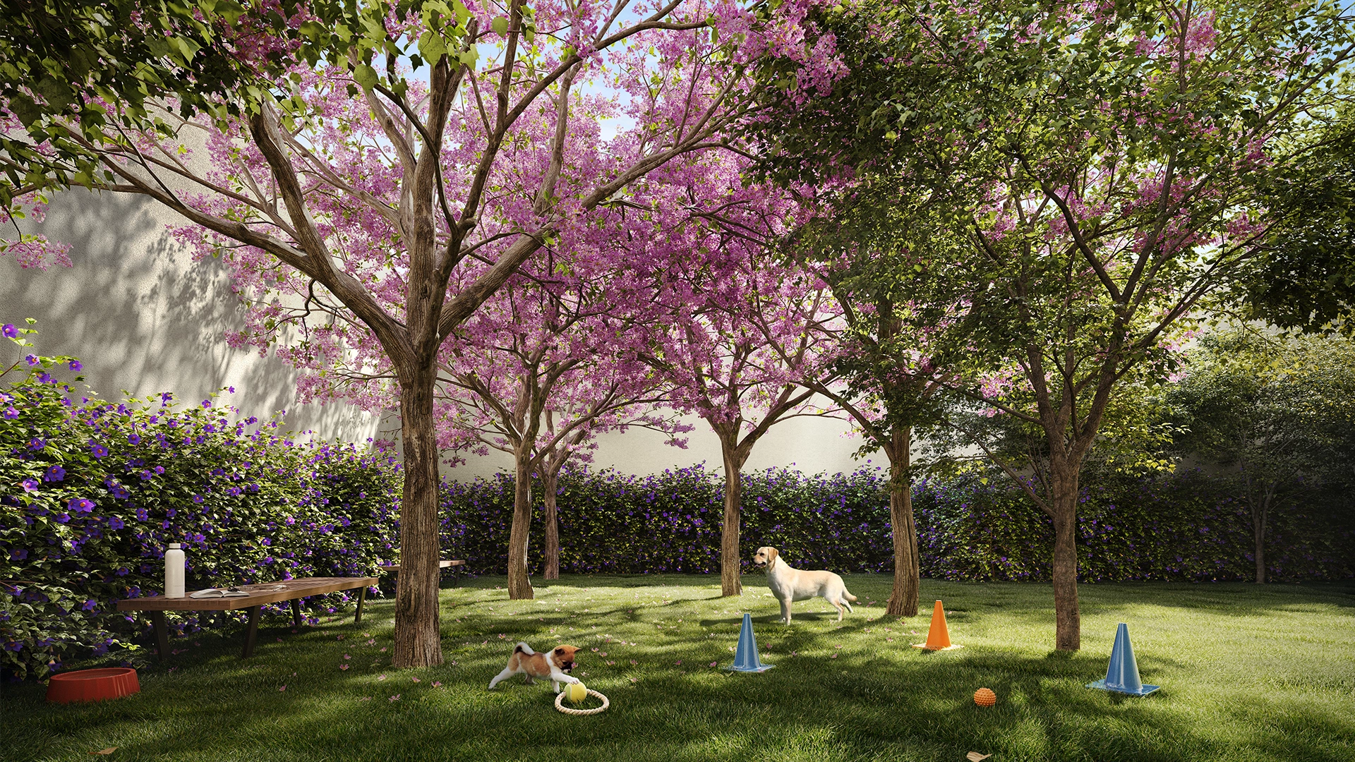 Perspectiva Ilustrada Pet Place (1º Subsolo)